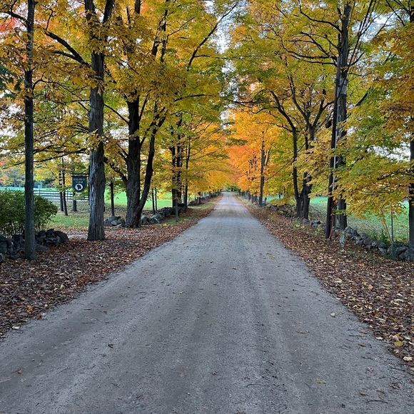 Meet your Posher, Dan - Picture 1 of 1